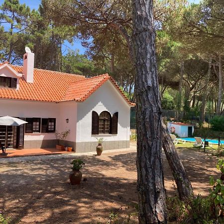 Moradia No Pinhal Com Piscina - Espaco E Privacidade Para As Suas Ferias! ซินตรา ภายนอก รูปภาพ