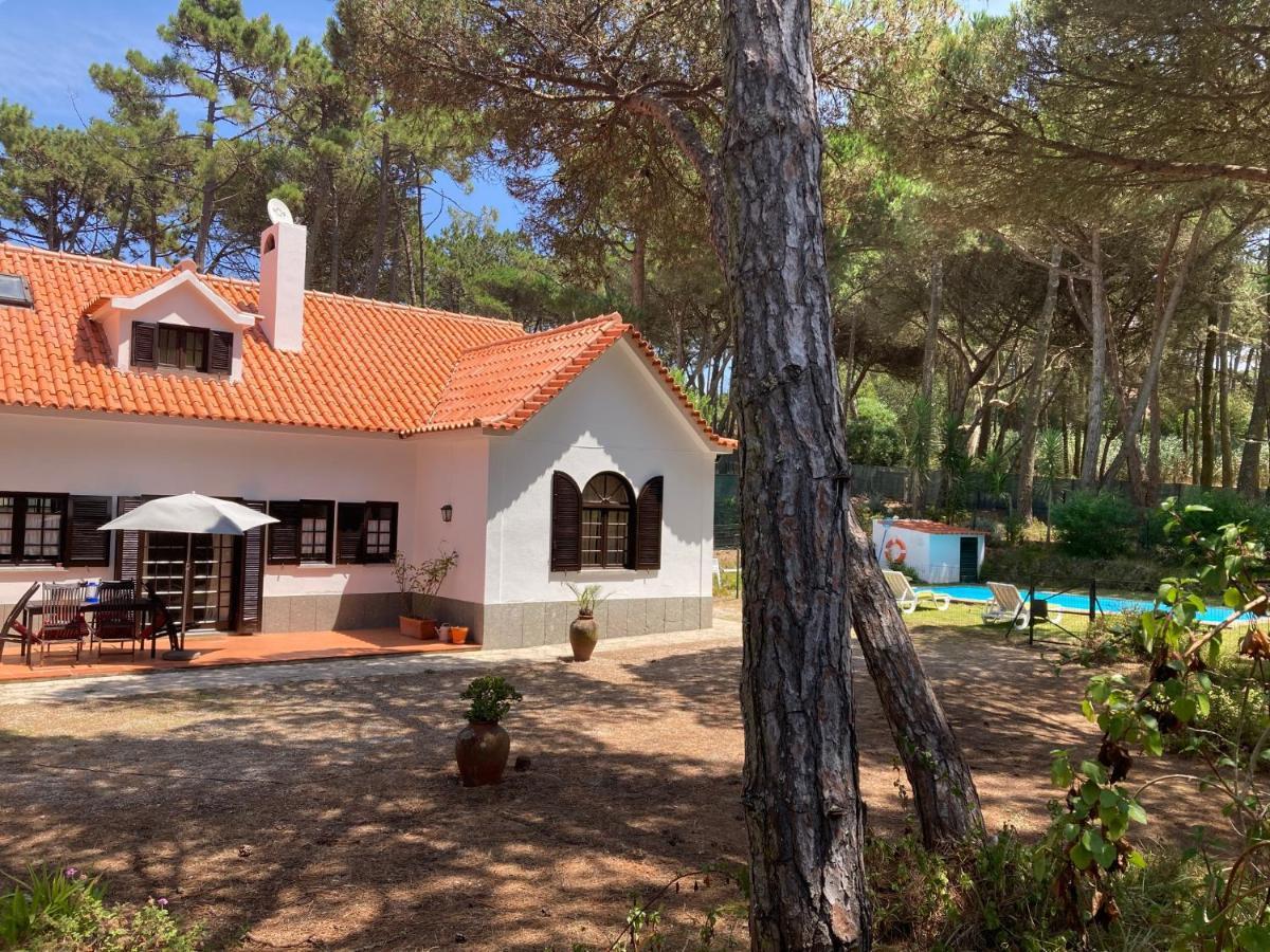 Moradia No Pinhal Com Piscina - Espaco E Privacidade Para As Suas Ferias! ซินตรา ภายนอก รูปภาพ